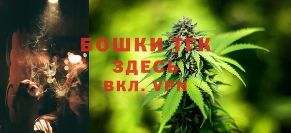 ALPHA-PVP Ельня