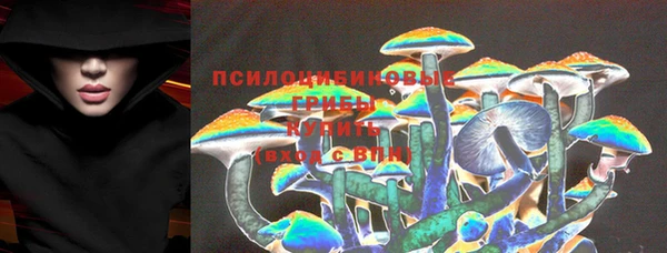 ALPHA-PVP Ельня